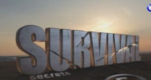 survival 702x336