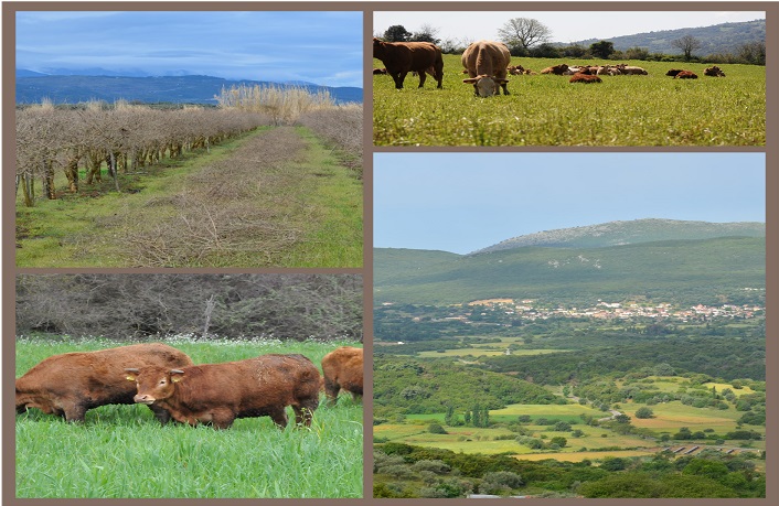 nea paseges osde enosi agriniou