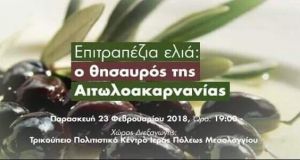 epitrapezia elia thusauros aitoloakarnanias