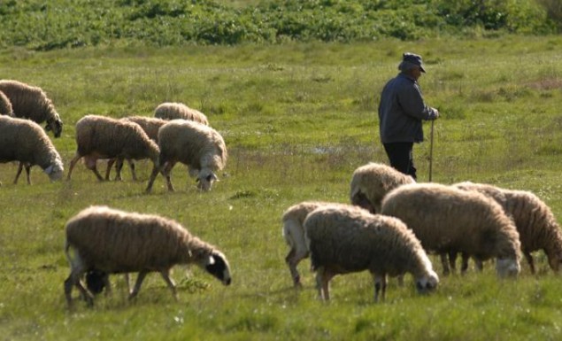 astunomikos tsakotos voskos klopi mpatarion keraies