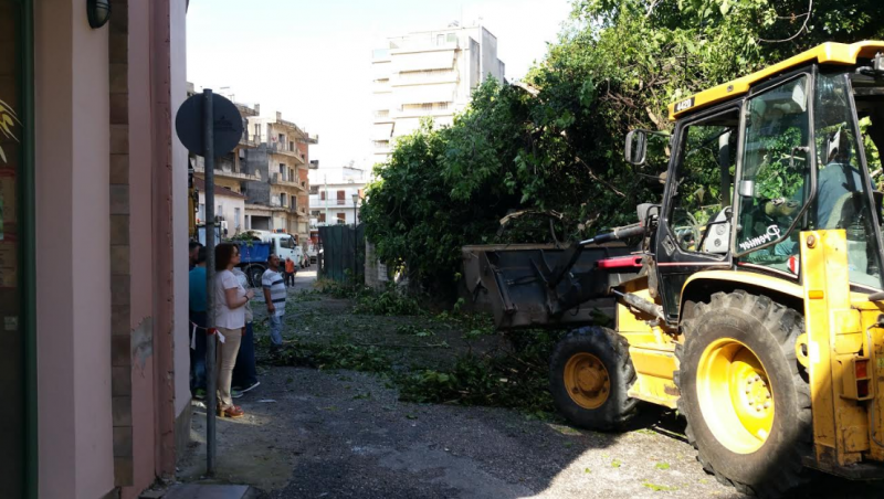 anaplasi panagopoulou agrinio