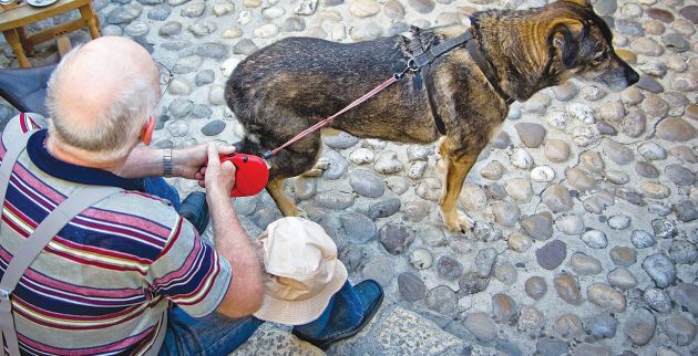 erototropia ilikiomenou skulou amaliada