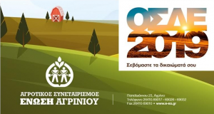 osde 2019 apofasi dikastiriou