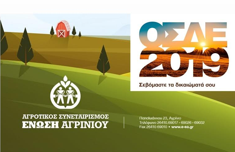 osde 2019 apofasi dikastiriou