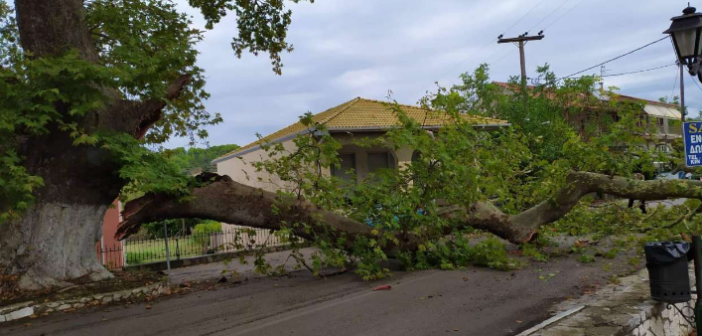 leukada proti platanou