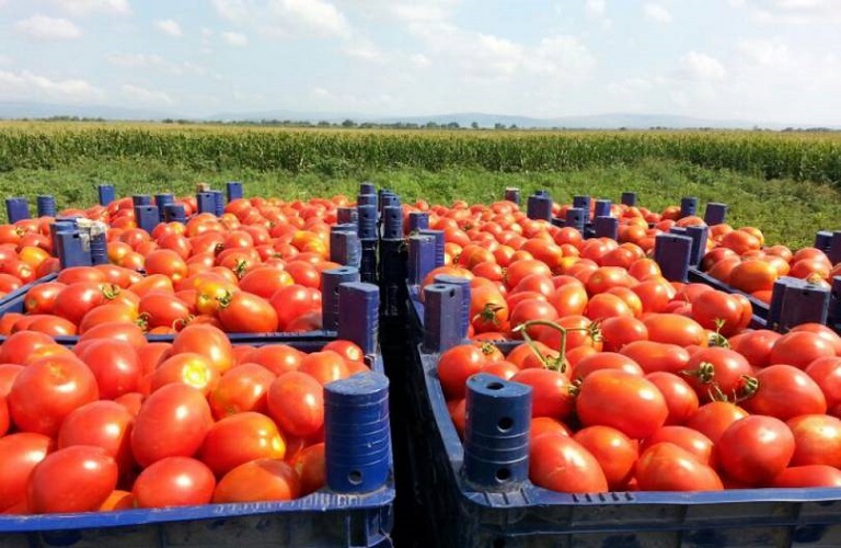 nea pliromi opekepe ntomates