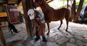 nafplio petaloma alogou1