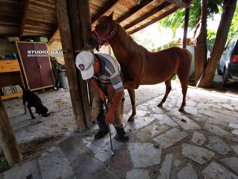 nafplio petaloma alogou1