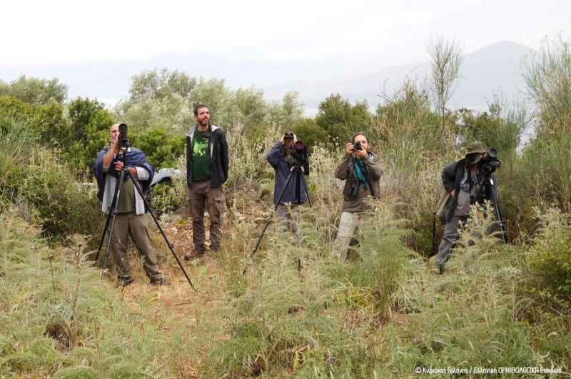 research team ornithologiki kgalanis 06062020