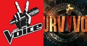 the voice survivor