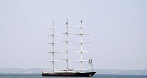 maltese falcon 768x500