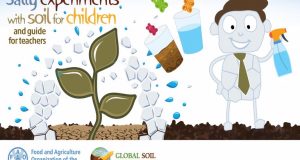 salt experiments with soil for kids 768x500