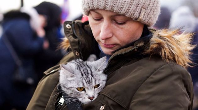 Γάτες και σκύλοι μαζί με τους Ουκρανούς πρόσφυγες στο ταξίδι σωτηρίας (Photos)