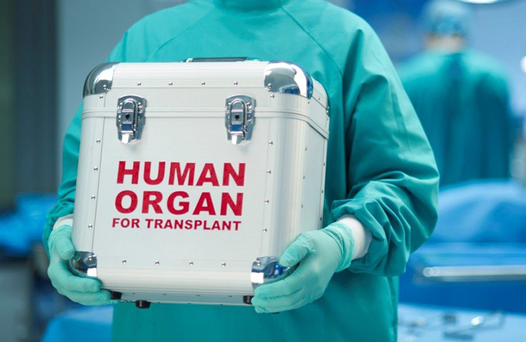 human organ transport