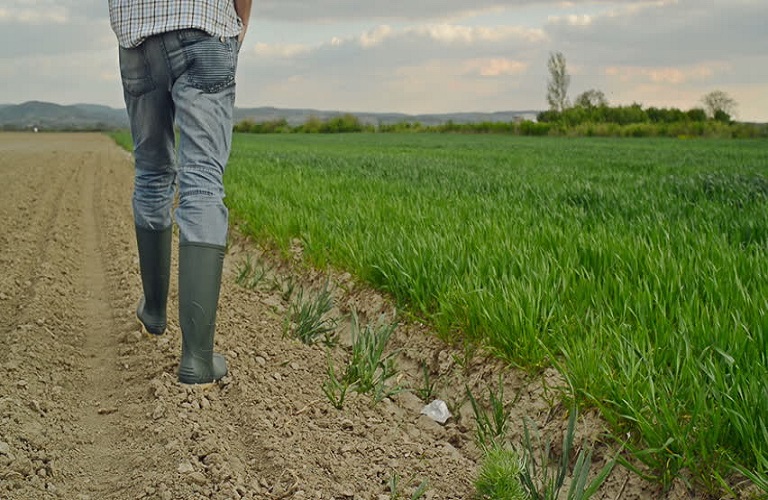 dutiki elllada neoi agrotes