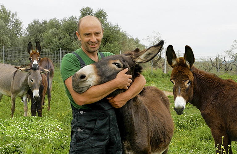 giorgos gaidourakia