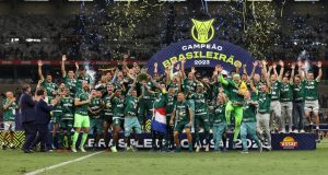 palmeiras vrazilia 5