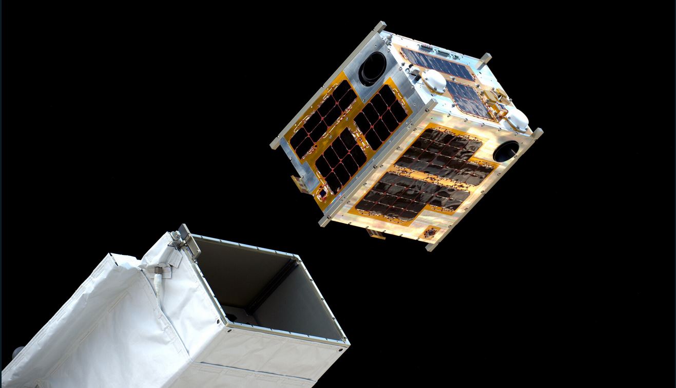 microsatellite esa