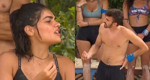 survivor331