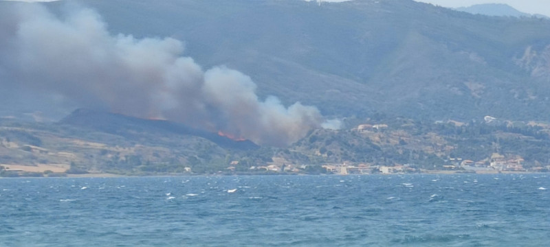 megali-pyrkagia-ston-plataniti-antirriou-diloseis-gkiza-kai-tabaki-videos