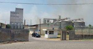 Αγρίνιο: Νέα φωτιά κοντά στον Οικισμό Ρομά στην περιοχή του…
