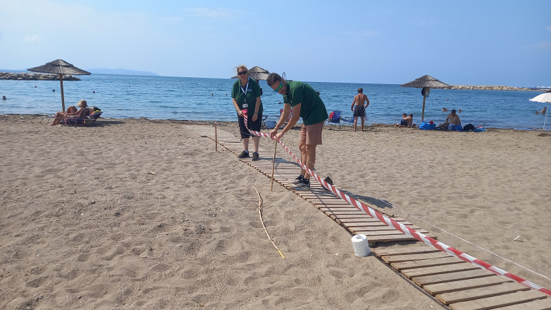 caretta caretta mesologgi1