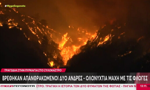 Η πυρκαγιά που ξέσπασε στο Ξυλόκαστρο το πρωί της 29ης Σεπτεμβρίου άφησε πίσω της ένα αποκαρδιωτικό απολογισμό.