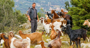 Στο νέο επεισόδιο του Greek Village Life, στην Ορεινή Ναυπακτία ο 35χρονος Δημήτρης είναι ένας νέος Κτηνοτρόφος