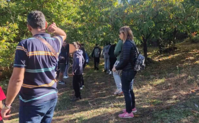 Τη διαδικασία συγκομιδής και διαλογής κάστανου είδαν την Τρίτη (9/10) μαθητές της 2ης τάξης από το 7ο Γυμνάσιο Αγρινίου στο Άνω Κεράσοβο