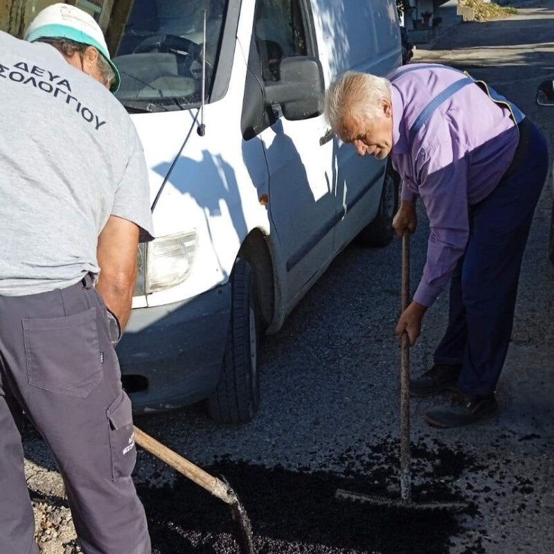 paremvaseis mesologgi dimos 1