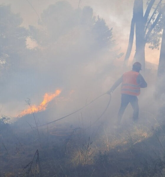 Ο Δήμος Ξηρομέρου γνωστοποίησε πως μία πολύ επικίνδυνη φωτιά ξέσπασε την Παρασκευή, 1 Νοεμβρίου στο Δασύλλιο Φυτειών.