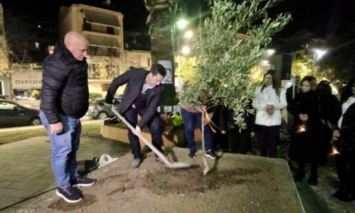 Το Αγρίνιο με το Δέντρο της Ισότητας την 25η Νοεμβρίου έστειλε ηχηρό «μήνυμα» για την εξάλειψη της βίας κατά των γυναικών