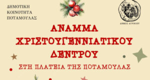 Στην Ποταμούλα αυτό το Σάββατο, 14 Δεκεμβρίου 2024 αναμένεται να πραγματοποιηθεί η φωταγώγηση του Χριστουγεννιάτικου Δέντρου