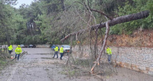 Ο Δήμος Ξηρομέρου εξέδωσε ανακοίνωση για την αποκατάσταση κυκλοφορίας δρόμου από πτώση δέντρου εξαιτίας των ισχυρών ανέμων.