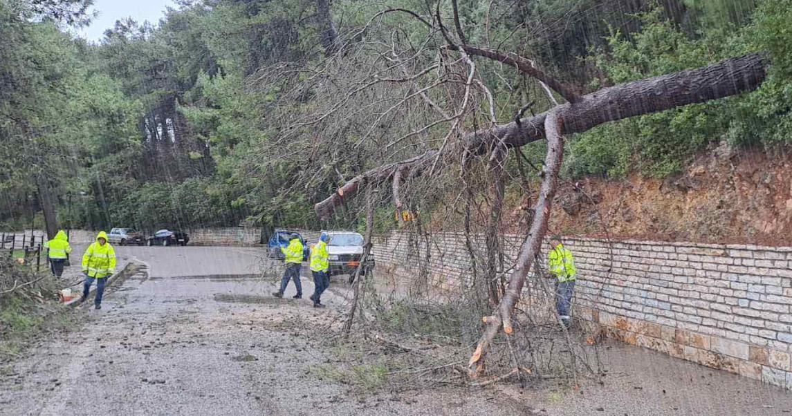 Ο Δήμος Ξηρομέρου εξέδωσε ανακοίνωση για την αποκατάσταση κυκλοφορίας δρόμου από πτώση δέντρου εξαιτίας των ισχυρών ανέμων.