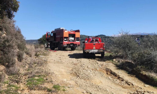 Στον Προφήτη Ηλία Αγρινίου ξέσπασε φωτιά σε δύσβατη έκταση νωρίς το μεσημέρι της Τρίτης, (11/2) με αποτέλεσμα να καούν ελαιόδεντρα.