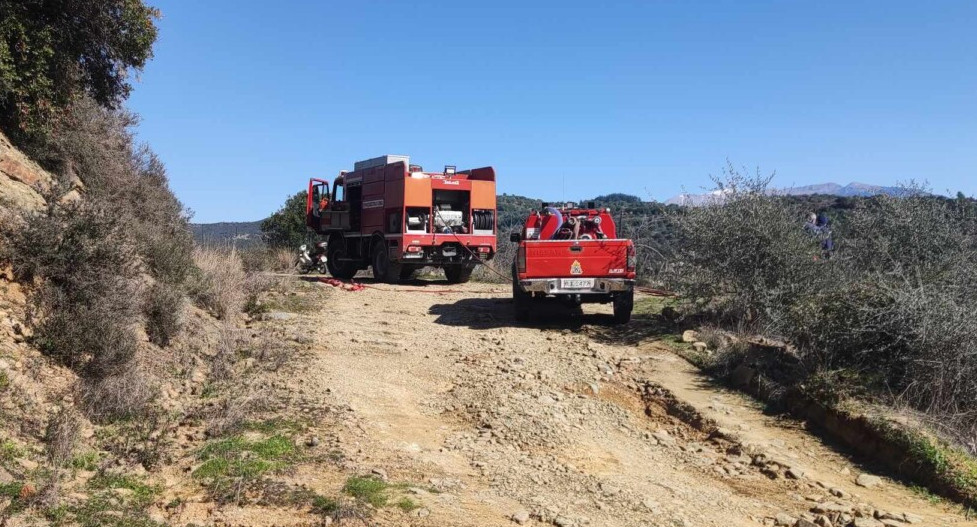 Στον Προφήτη Ηλία Αγρινίου ξέσπασε φωτιά σε δύσβατη έκταση νωρίς το μεσημέρι της Τρίτης, (11/2) με αποτέλεσμα να καούν ελαιόδεντρα.